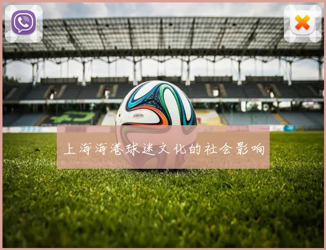 上海海港球迷文化的社会影响