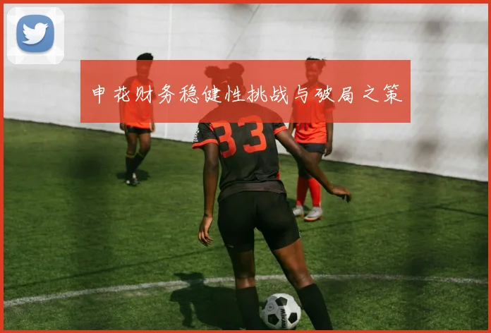 申花财务稳健性挑战与破局之策